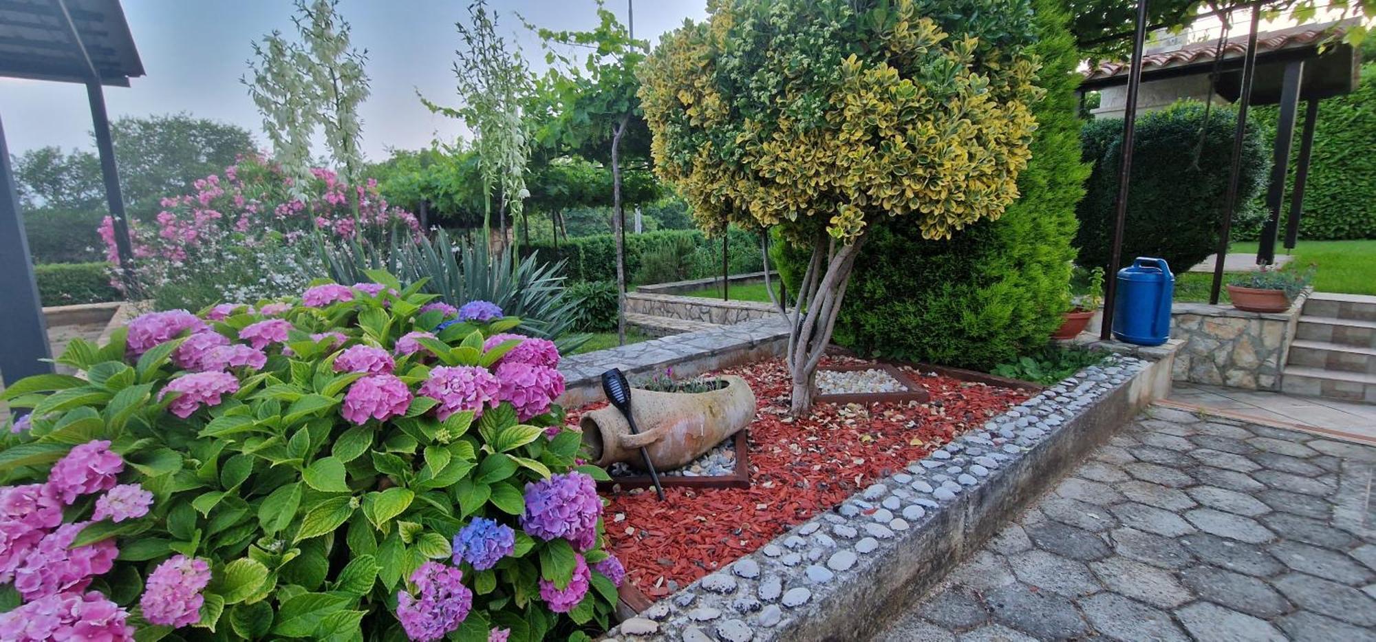 Apartments Fantazija Rovinj Dış mekan fotoğraf