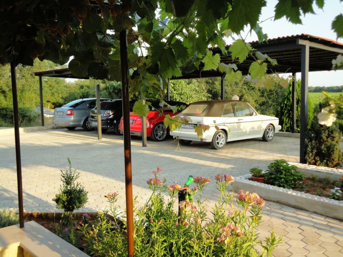 Apartments Fantazija Rovinj Dış mekan fotoğraf